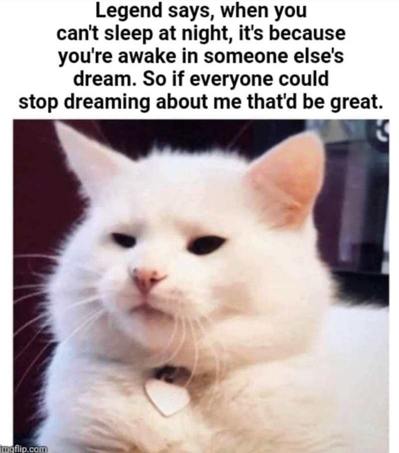 Legend says, when you can't sleep at night, it's because you're awake in someone else's dream. So if everyone could stop dreaming about me that'd be great. Imgflip.com