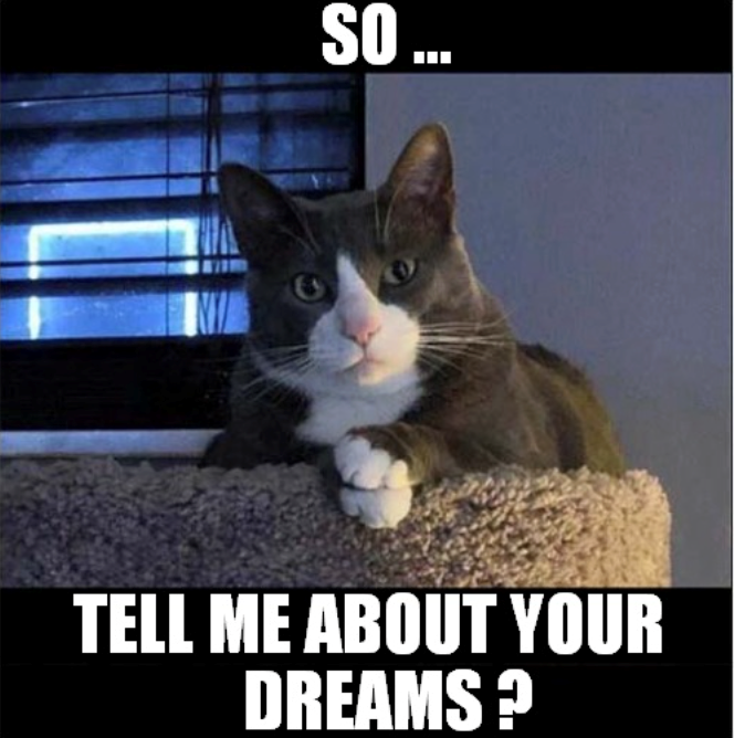 SO... TELL ME ABOUT YOUR DREAMS?