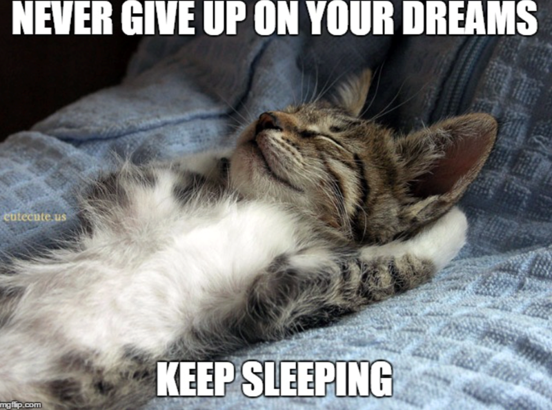 NEVER GIVE UP ON YOUR DREAMS cutecute.us mgflip.com KEEP SLEEPING