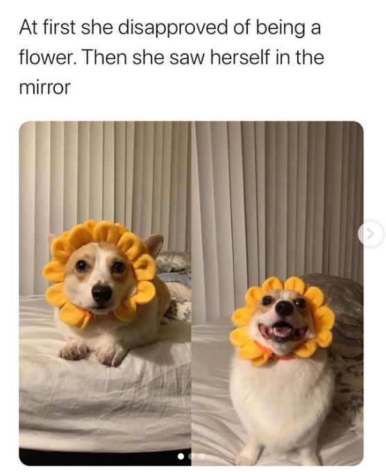 At first she disapproved of being a flower. Then she saw herself in the mirror