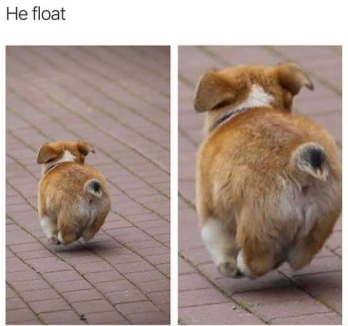 He float