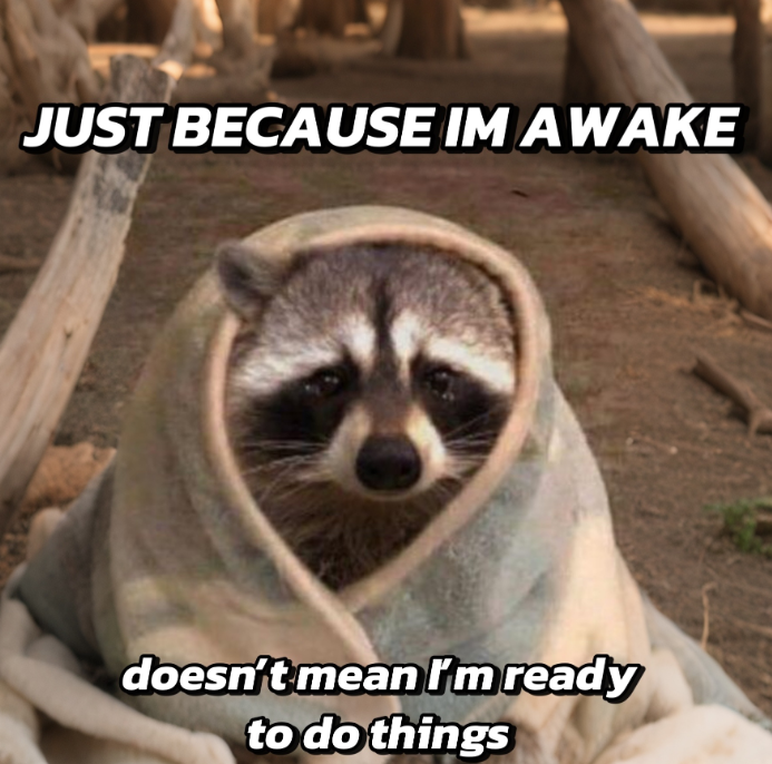 JUST BECAUSE IM AWAKE doesn't mean I'm ready to do things