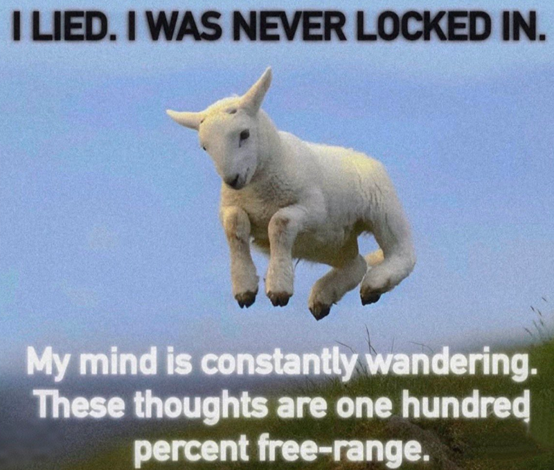I LIED. I WAS NEVER LOCKED IN. My mind is constantly wandering. These thoughts are one hundred percent free-range.