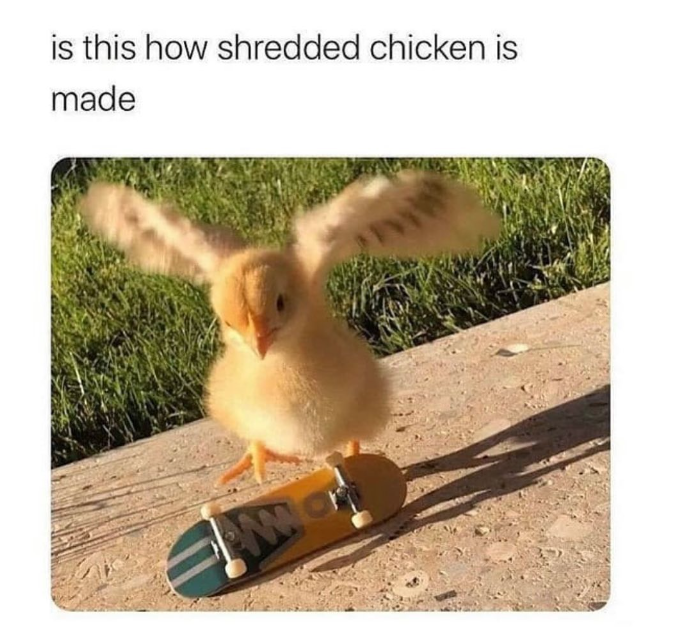 is this how shredded chicken is made