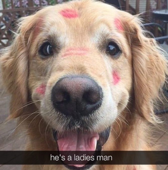 he's a ladies man