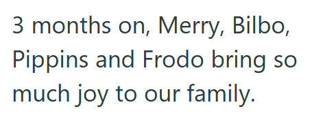 3 months on, Merry, Bilbo, Pippins and Frodo bring so much joy to our family.