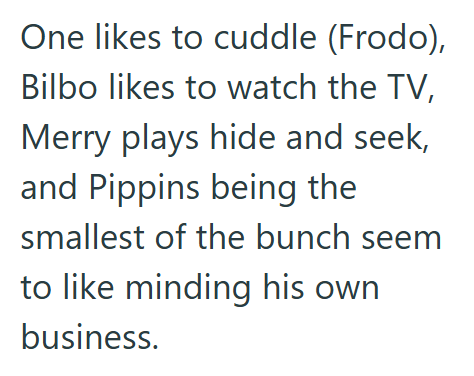 One likes to cuddle (Frodo), Bilbo likes to watch the TV, Merry plays hide and seek, and Pippins being the smallest of the bunch seem to like minding his own business.
