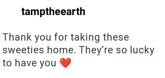 tamptheearth Thank you for taking these sweeties home. They're so lucky to have you
