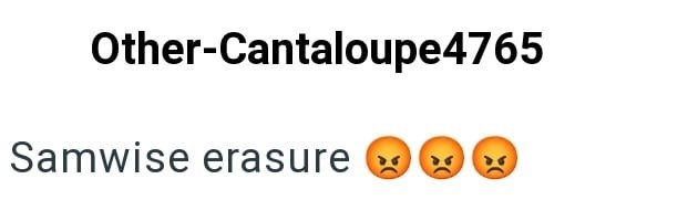 Other-Cantaloupe 4765 Samwise erasure