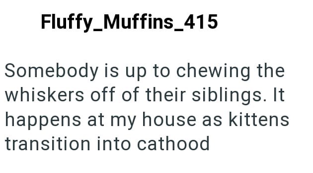 Fluffy_Muffins_415 Somebody is up to chewing the whiskers off of their siblings. It happens at my house as kittens transition into cathood