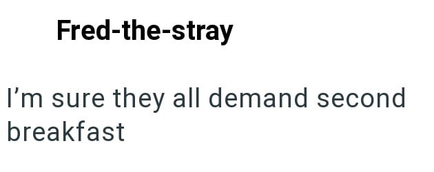 Fred-the-stray I'm sure they all demand second breakfast