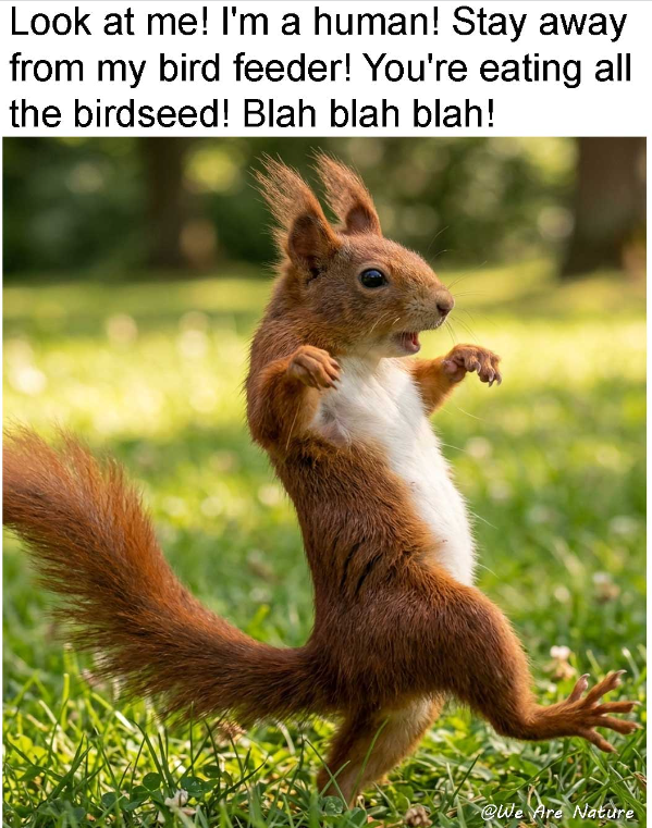 Look at me! I'm a human! Stay away from my bird feeder! You're eating all the birdseed! Blah blah blah! @We Are Nature
