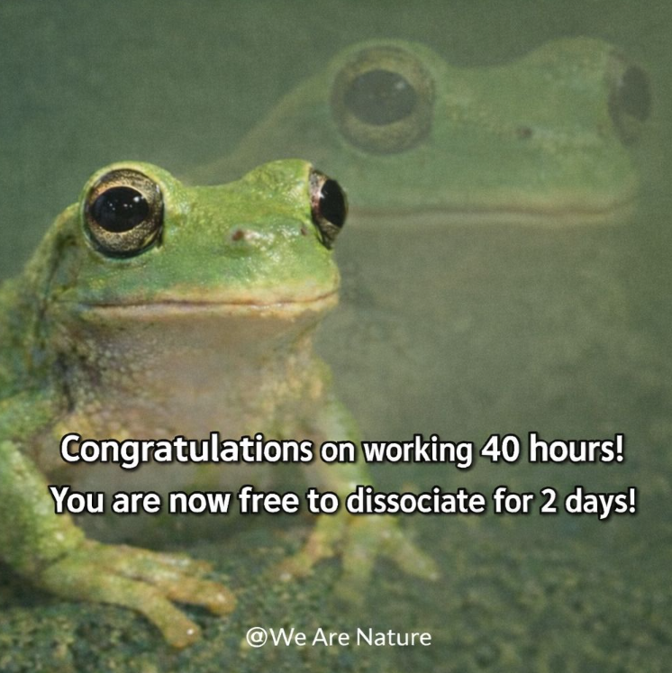 Congratulations on working 40 hours! You are now free to dissociate for 2 days! @We Are Nature