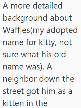 A more detailed background about Waffles(my adopted name for kitty, not sure what his old name was). A neighbor down the street got him as a kitten in the
