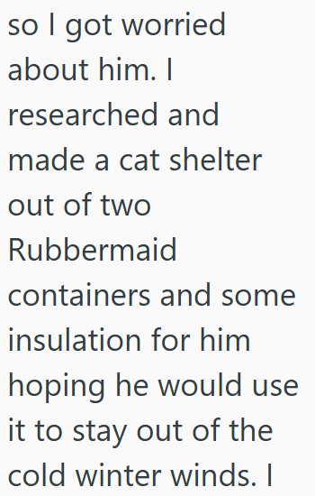 so I got worried about him. I researched and made a cat shelter out of two Rubbermaid containers and some insulation for him hoping he would use it to stay out of the cold winter winds. I