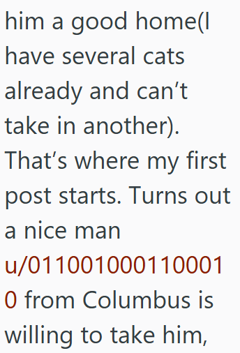him a good home(I have several cats already and can't take in another). That's where my first post starts. Turns out a nice man u/011001000110001 0 from Columbus is willing to take him,