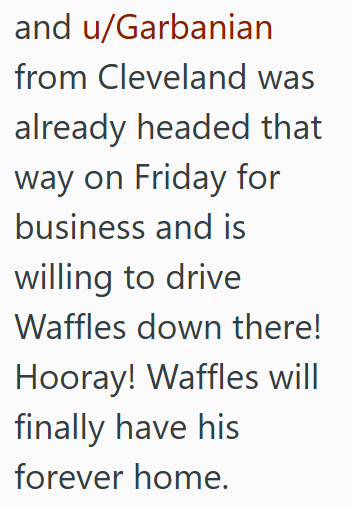 and u/Garbanian from Cleveland was already headed that way on Friday for business and is willing to drive Waffles down there! Hooray! Waffles will finally have his forever home.