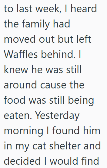 to last week, I heard the family had moved out but left Waffles behind. I knew he was still around cause the food was still being eaten. Yesterday morning I found him in my cat shelter and decided I would find