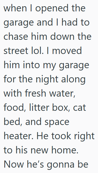 when I opened the garage and I had to chase him down the street lol. I moved him into my garage for the night along with fresh water, food, litter box, cat bed, and space heater. He took right to his new home. Now he's gonna be