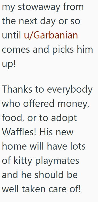 my stowaway from the next day or so until u/Garbanian comes and picks him up! Thanks to everybody who offered money, food, or to adopt Waffles! His new home will have lots of kitty playmates and he should be well taken care of!