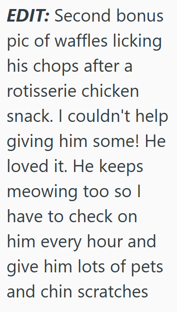 EDIT: Second bonus pic of waffles licking his chops after a rotisserie chicken snack. I couldn't help giving him some! He loved it. He keeps meowing too so I have to check on him every hour and give him lots of pets and chin scratches