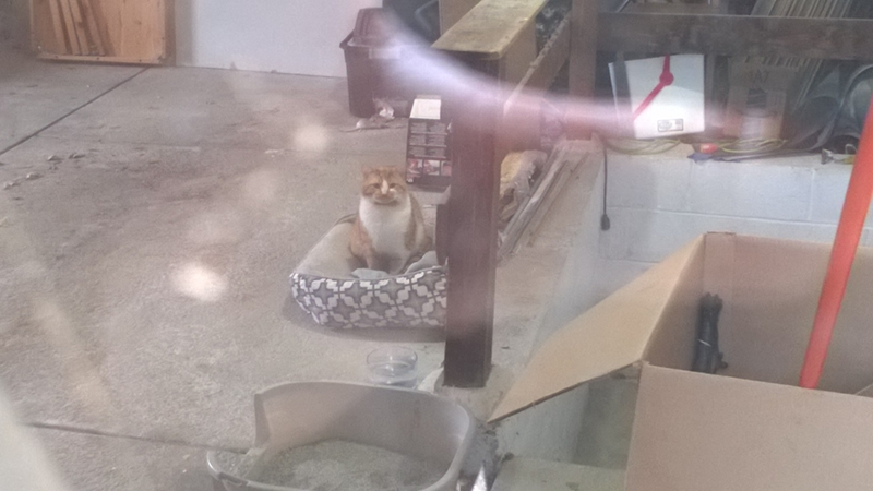 Cheezburger Image 10617712896