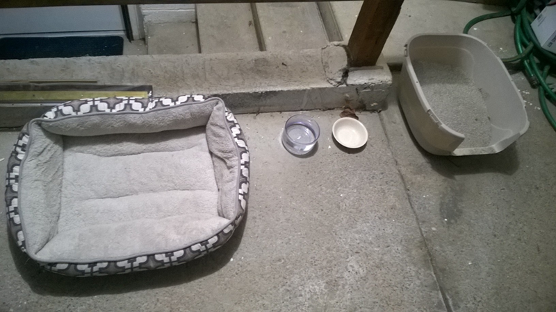 Cheezburger Image 10617713152