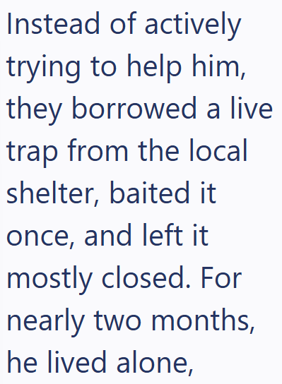 Instead of actively trying to help him, they borrowed a live trap from the local shelter, baited it once, and left it mostly closed. For nearly two months, he lived alone,