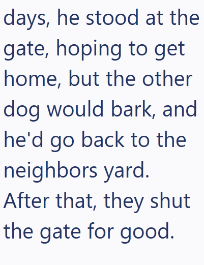 days, he stood at the gate, hoping to get home, but the other dog would bark, and he'd go back to the neighbors yard. After that, they shut the gate for good.