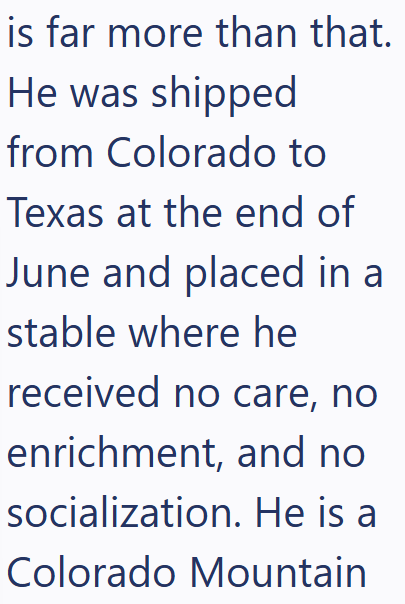is far more than that. He was shipped from Colorado to Texas at the end of June and placed in a stable where he received no care, no enrichment, and no socialization. He is a Colorado Mountain
