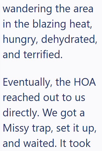 wandering the area in the blazing heat, hungry, dehydrated, and terrified. Eventually, the HOA reached out to us directly. We got a Missy trap, set it up, and waited. It took