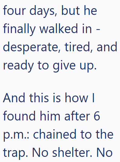 four days, but he finally walked in - desperate, tired, and ready to give up. And this is how I found him after 6 p.m.: chained to the trap. No shelter. No