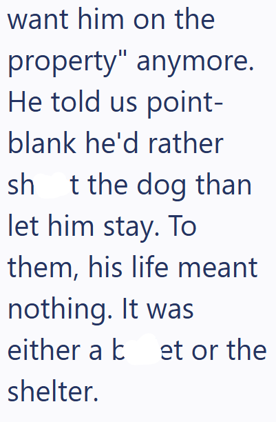 want him on the property" anymore. He told us point- blank he'd rather sh t the dog than let him stay. To them, his life meant nothing. It was either a bet or the shelter.