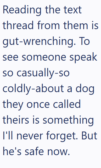 Reading the text thread from them is gut-wrenching. To see someone speak so casually-so coldly-about a dog they once called theirs is something I'll never forget. But he's safe now.