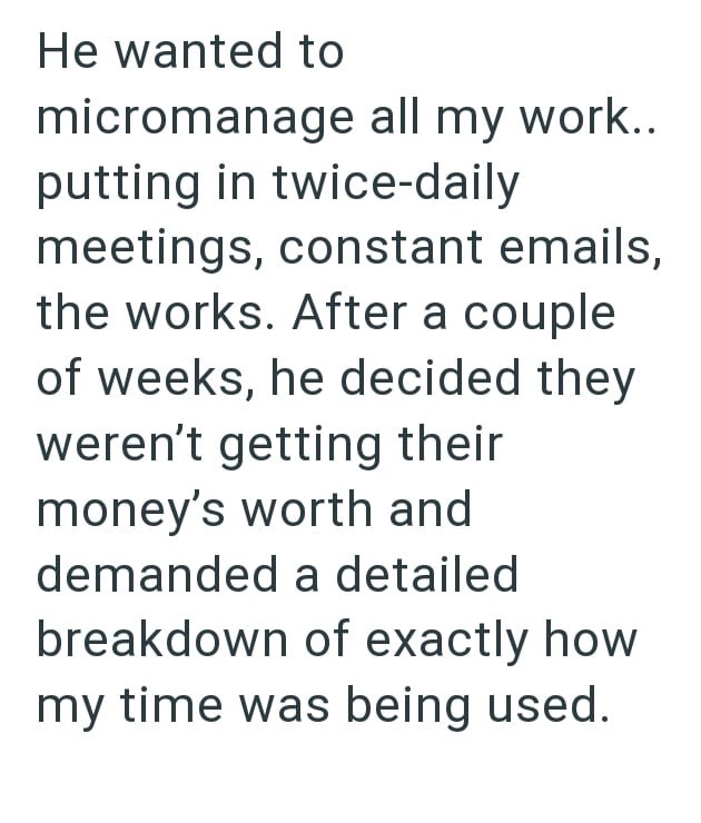He wanted to micromanage all my work.. putting in twice-daily meetings, constant emails, the works. After a couple of weeks, he decided they weren't getting their money's worth and demanded a detailed breakdown of exactly how my time was being used.