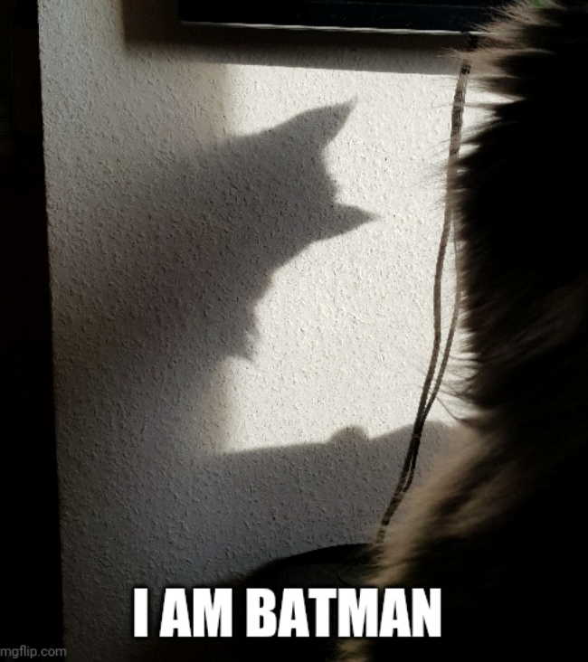 I AM BATMAN mgflip.com