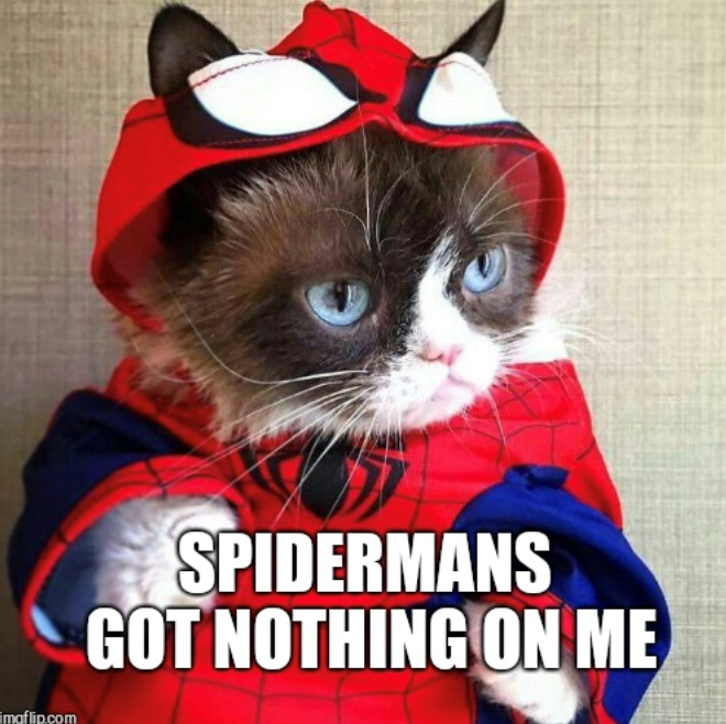 imaflip.com SPIDERMANS GOT NOTHING ON ME