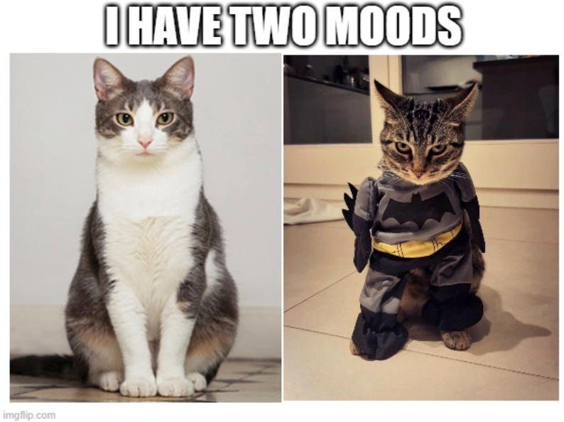 imgflip.com I HAVE TWO MOODS