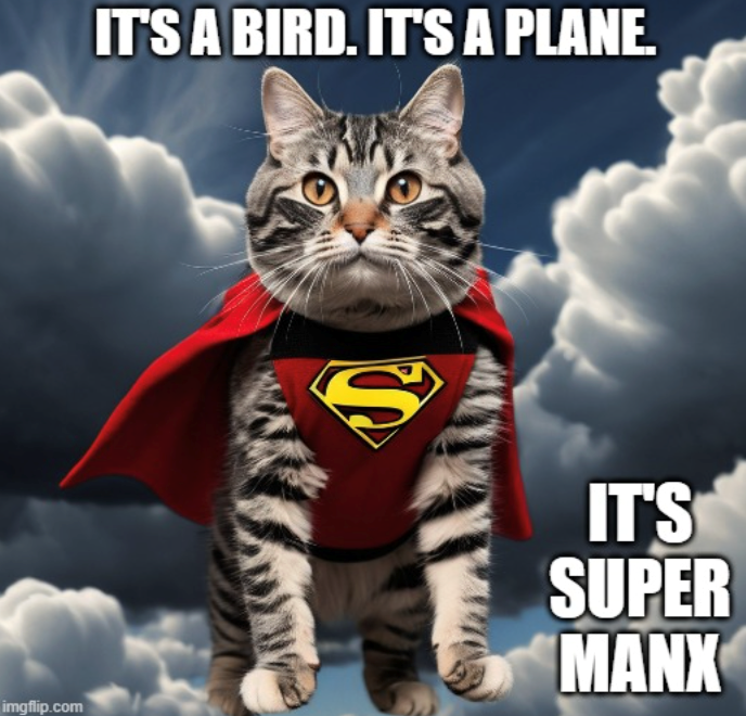imgflip.com IT'S A BIRD. IT'S A PLANE. S IT'S SUPER MANX
