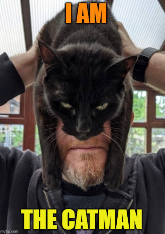 imgflip.com 1 AM THE CATMAN
