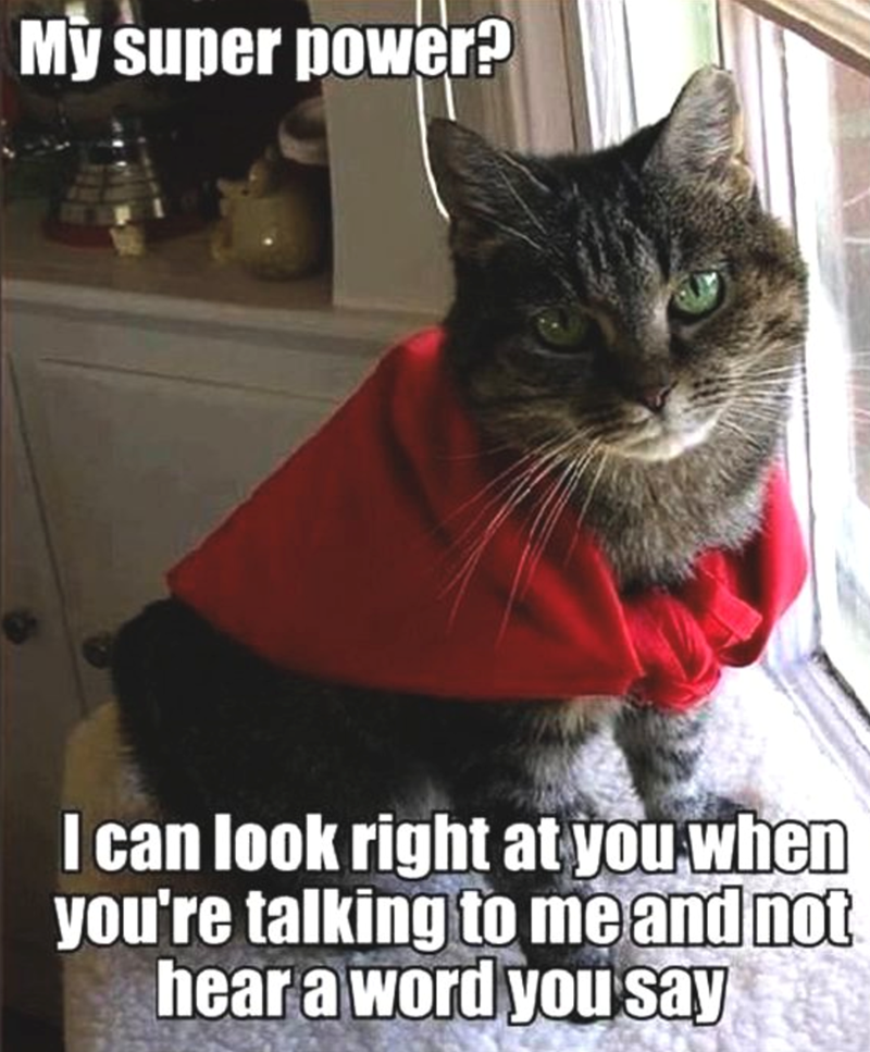 My super power? I can look right at you when you're talking to me and not hear a word you say