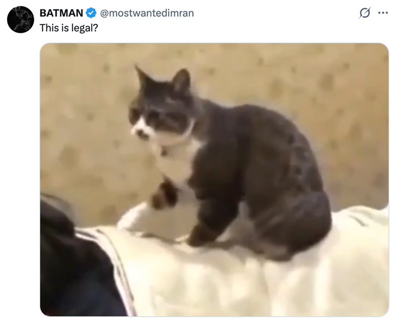 BATMAN This is legal? @mostwantedimran ...
