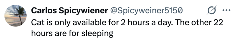 Carlos Spicywiener @Spicyweiner5150 Cat is only available for 2 hours a day. The other 22 hours are for sleeping ...