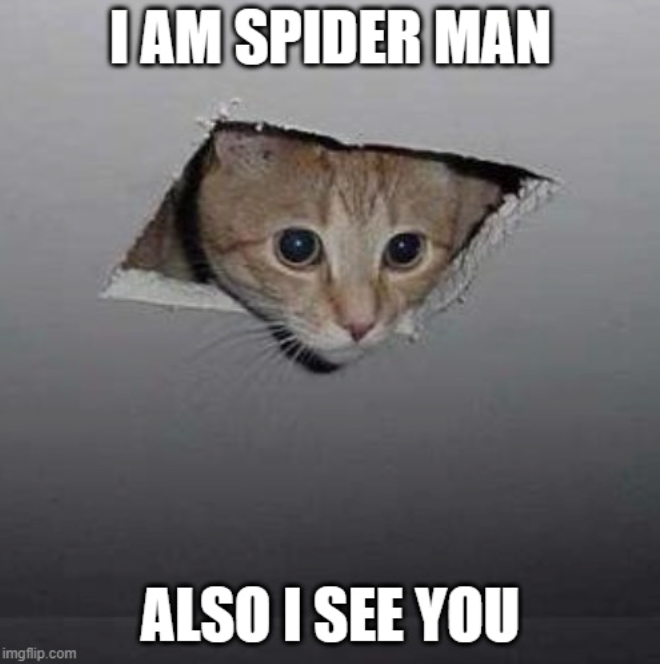 I AM SPIDER MAN ALSO I SEE YOU imgflip.com