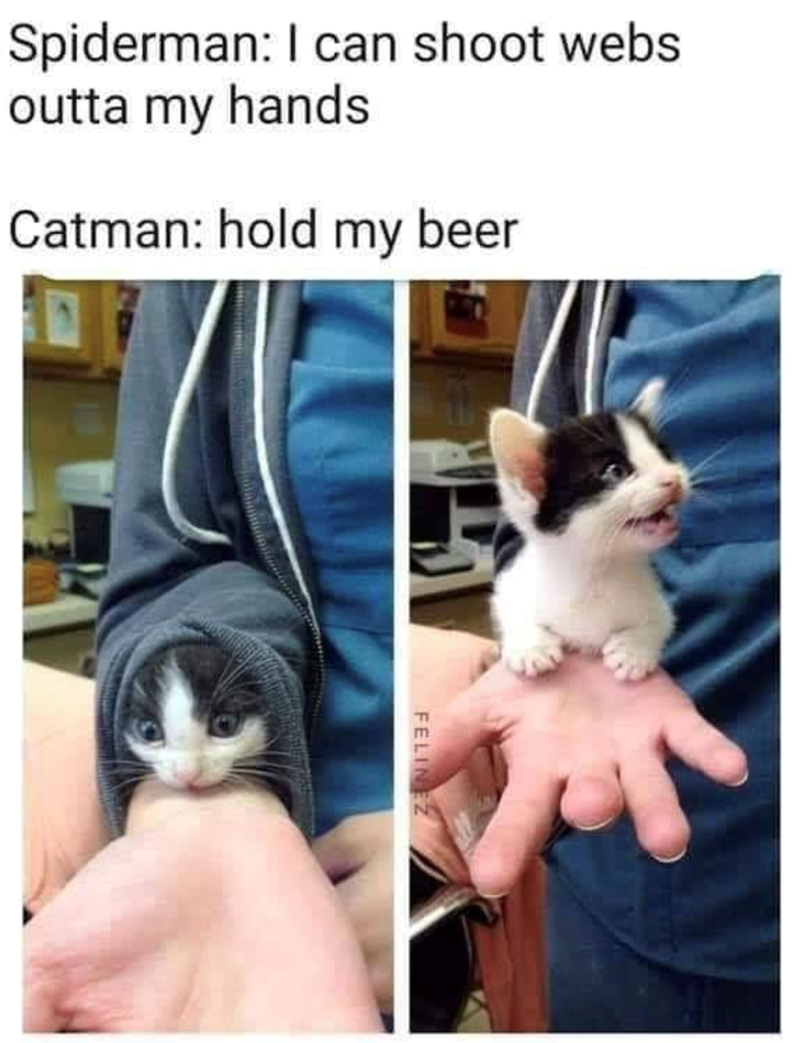Spiderman: I can shoot webs outta my hands Catman: hold my beer FELIN