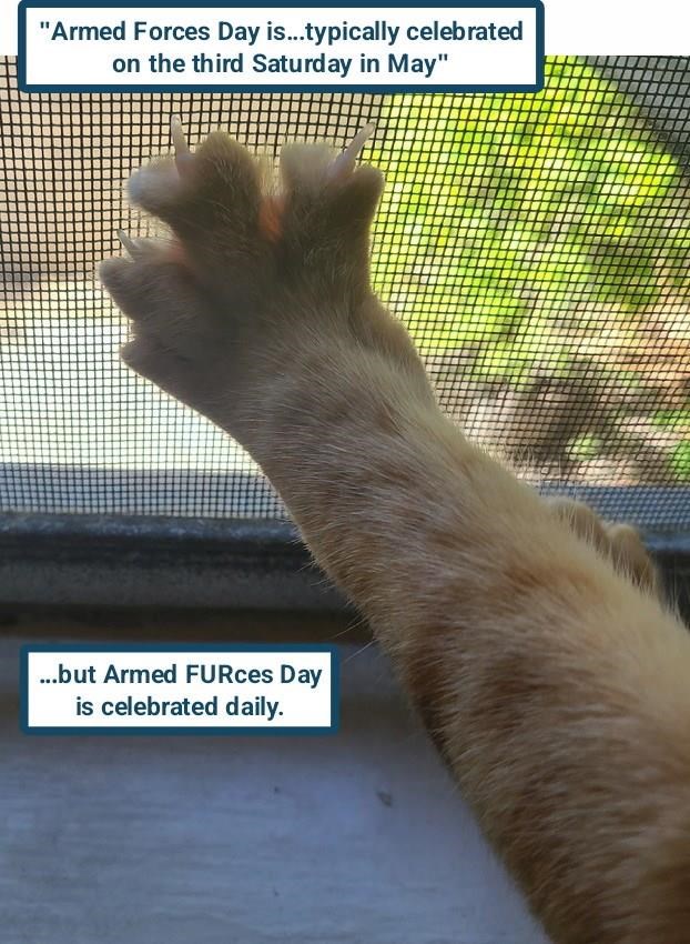 Cheezburger Image 10617753600