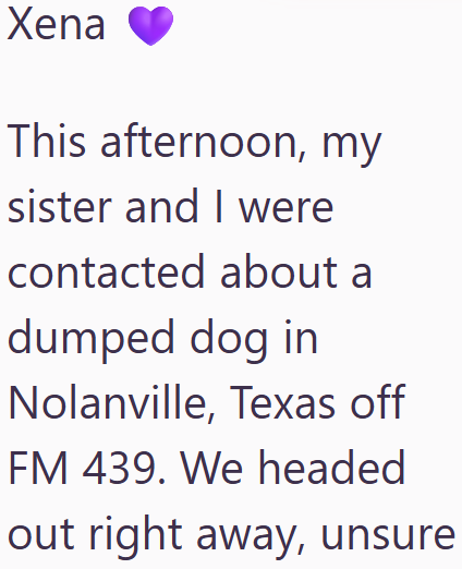 Xena This afternoon, my sister and I were contacted about a dumped dog in Nolanville, Texas off FM 439. We headed out right away, unsure