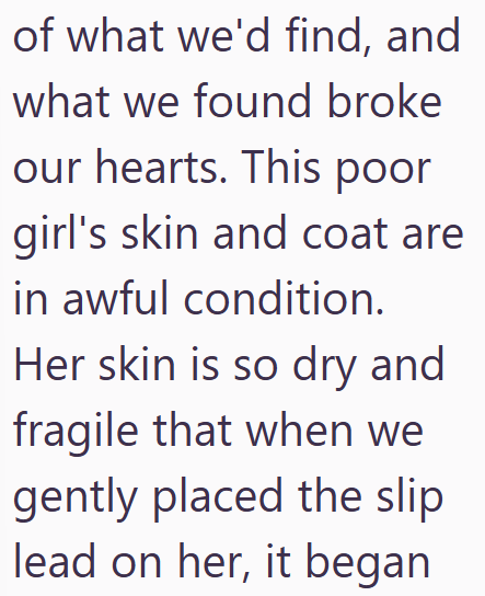 of what we'd find, and what we found broke our hearts. This poor girl's skin and coat are in awful condition. Her skin is so dry and fragile that when we gently placed the slip lead on her, it began