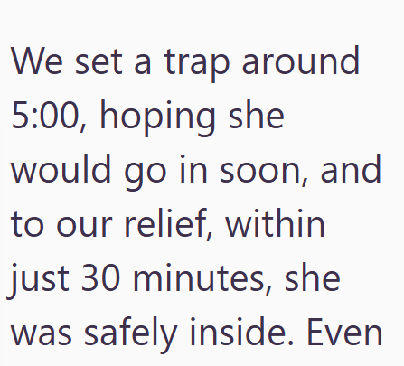 We set a trap around 5:00, hoping she would go in soon, and to our relief, within just 30 minutes, she was safely inside. Even