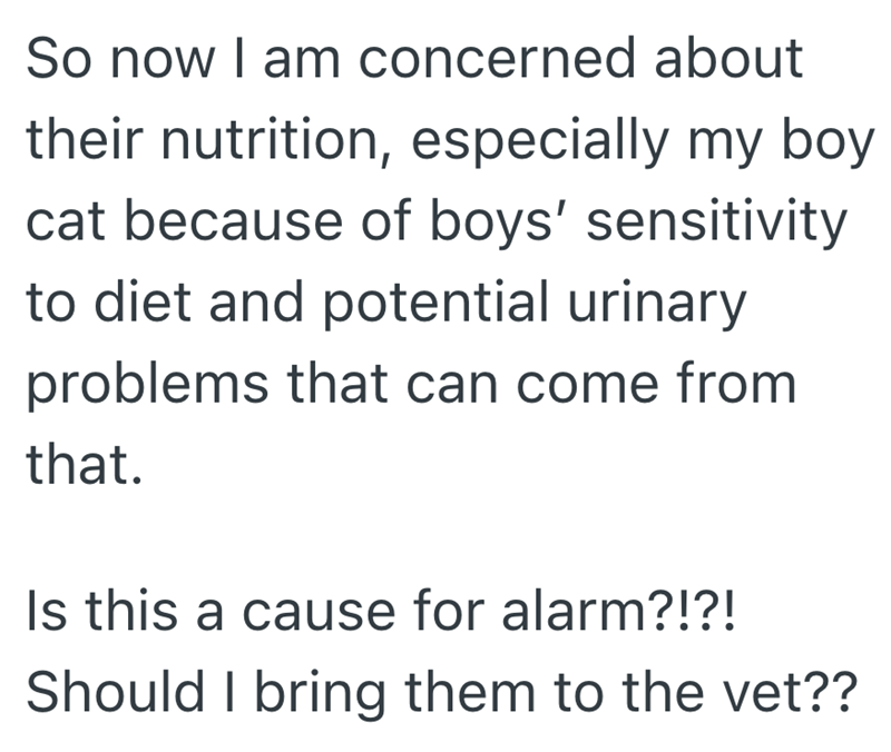 So now I am concerned about their nutrition, especially my boy cat because of boys' sensitivity to diet and potential urinary problems that can come from that. Is this a cause for alarm?!?! Should I bring them to the vet??